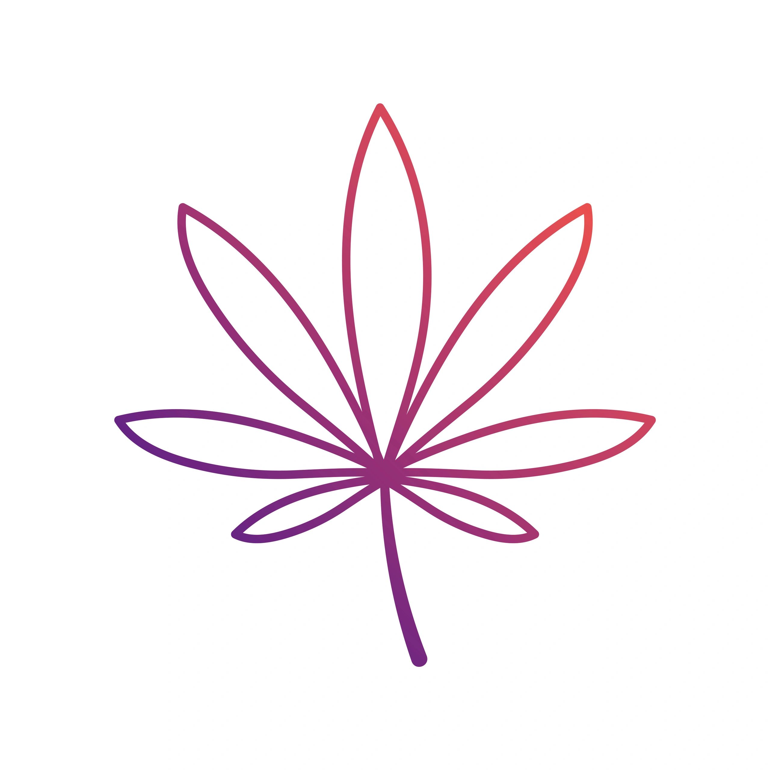 Minimal line leaf icon